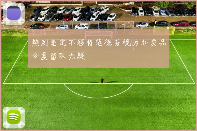 热刺坚定不移将范德芬视为非卖品今夏留队无疑