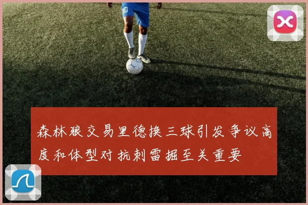森林狼交易里德换三球引发争议高度和体型对抗刺雷掘至关重要