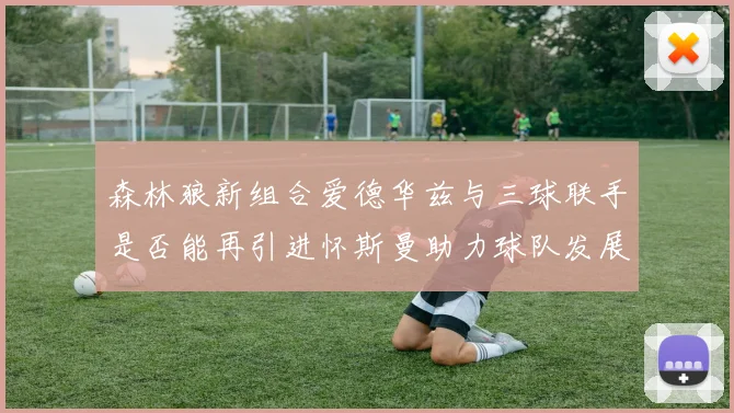 森林狼新组合爱德华兹与三球联手是否能再引进怀斯曼助力球队发展