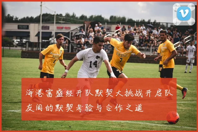 海港富盛经开队默契大挑战开启队友间的默契考验与合作之道