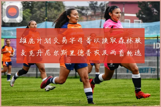 雄鹿计划交易字母哥以换取森林狼麦克丹尼尔斯里德香农及两首轮选秀权